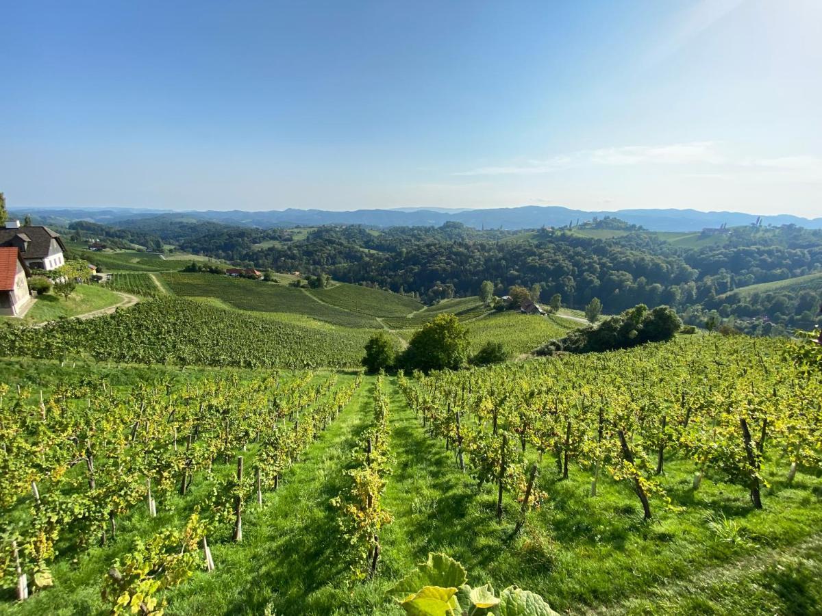 Wein Kultur Apartment Flavia Solva Wagna Kültér fotó